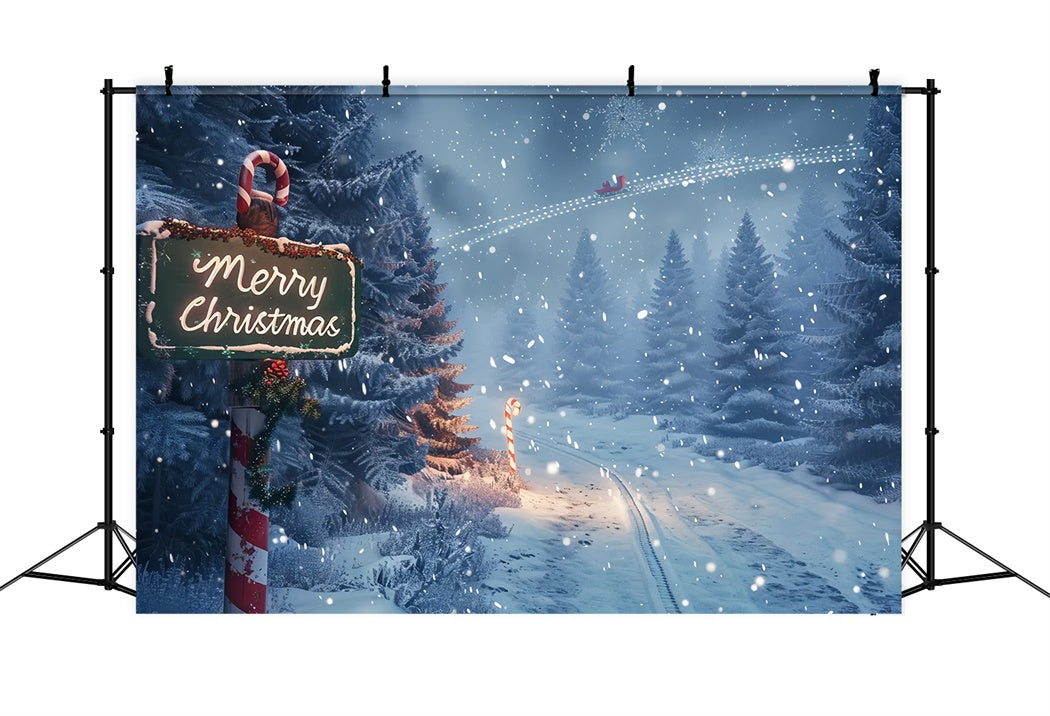 Enchanted Christmas Forest Path Backdrop UK BRP8-15