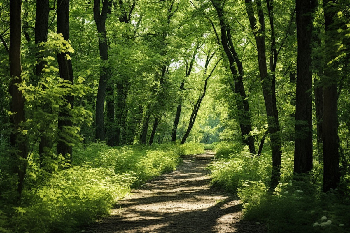 Woodland Photo Backdrop Lush Woodland Sunlit Trail Backdrop UK CJJ2-121