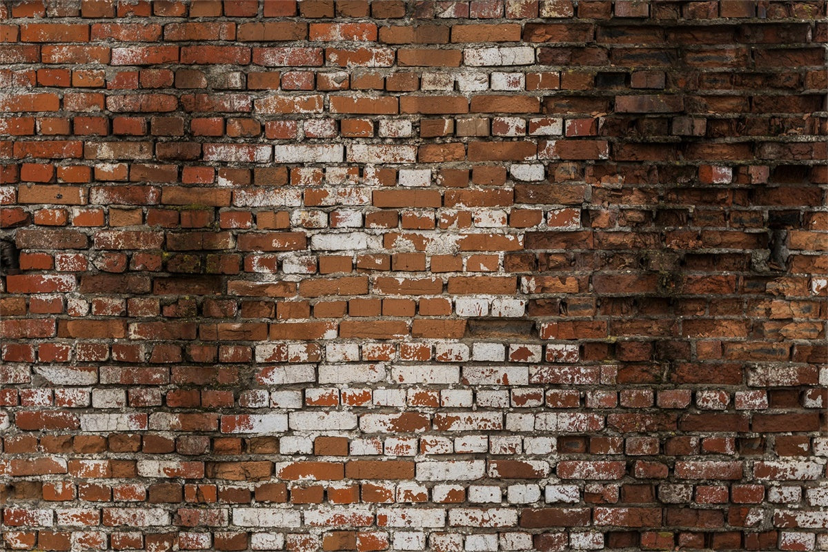 Brick Photo Backdrop Distressed Whitewashed Brick Backdrop UK CJJ3-15