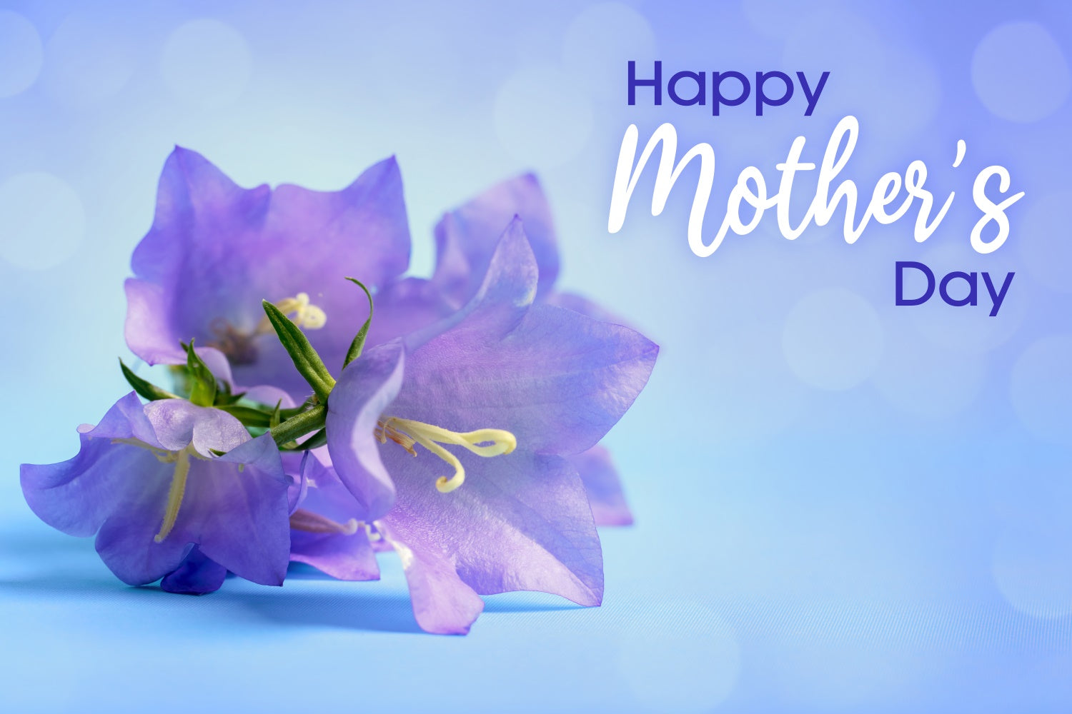 Mothers Day Photo Backdrops Soft Floral Bokeh Personalized Backdrop UK CJJ3-156
