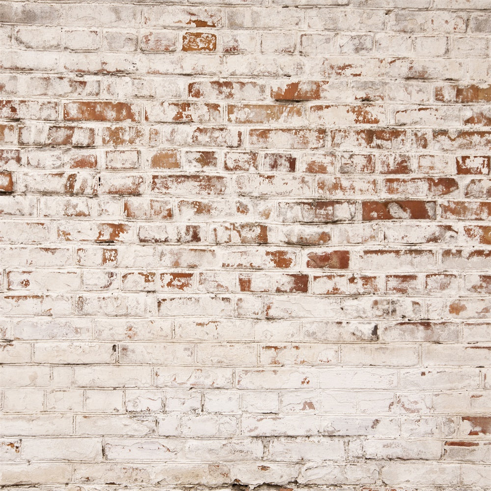 Brick Backdrop Photography Rustic Aged White Brick Backdrop UK CJJ3-18