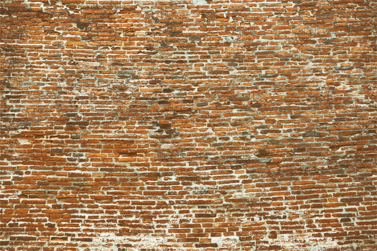 Brick Wall Photo Backdrop Old Curved Brick Surface Backdrop UK CJJ3-30