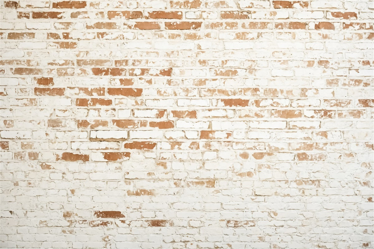 Brick Photo Backdrop Weathered White Brick Texture Backdrop UK CJJ3-37
