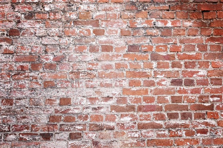 Brick Photo Backdrop Rustic Faded Brick Texture Backdrop UK CJJ3-7