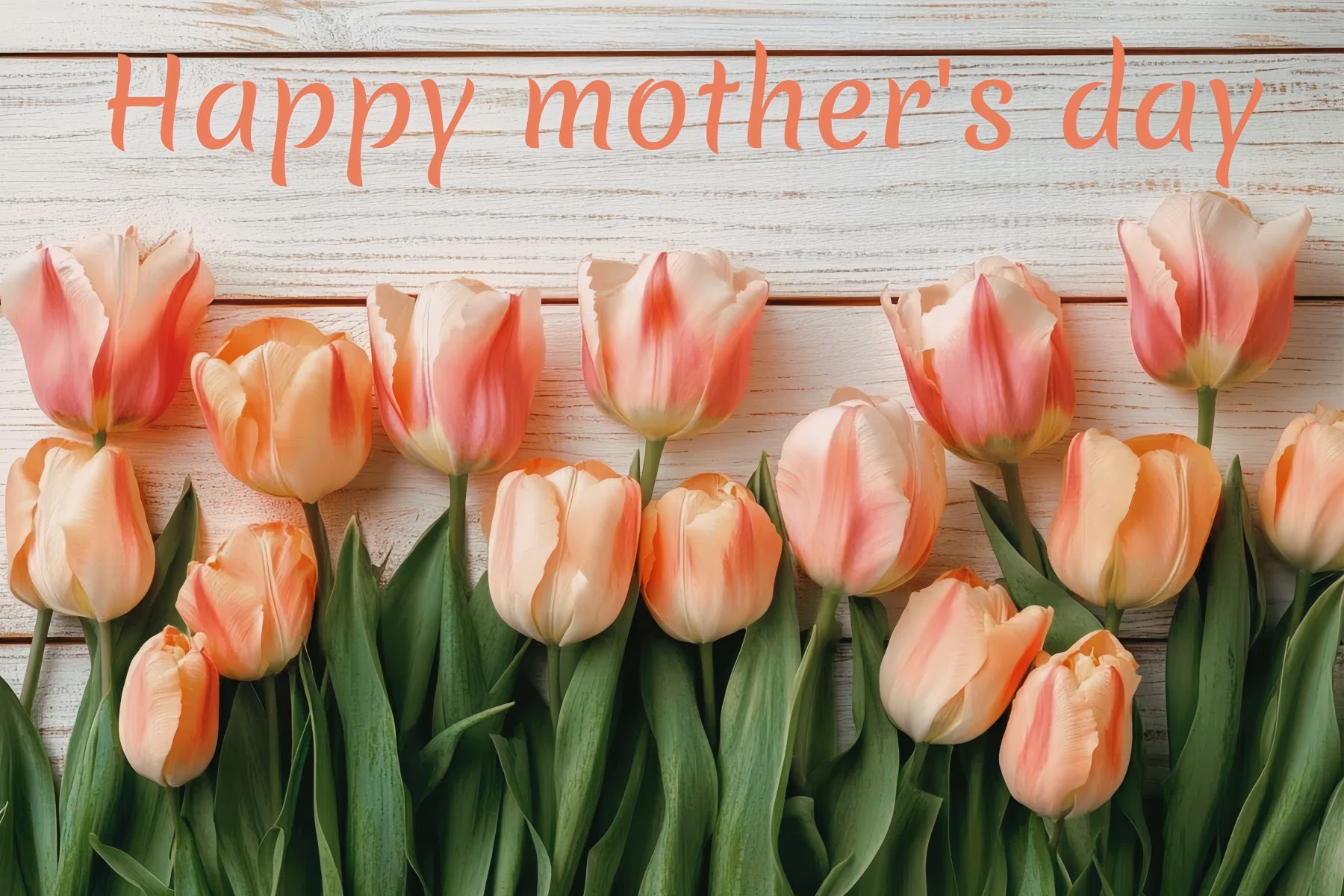 Mothers Day Backdrop Wooden Board Tulip Customized Backdrop UK CSH3-161