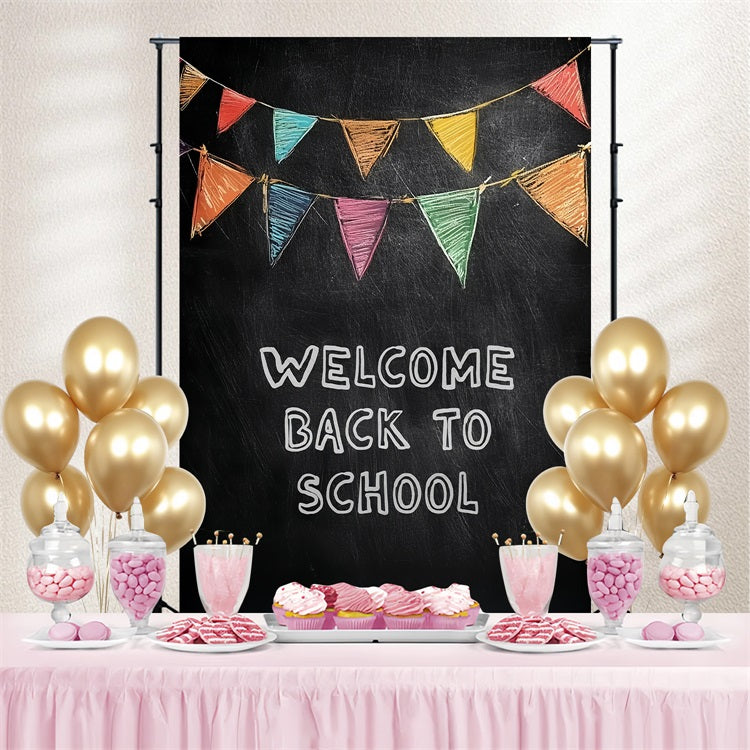 Back To School Picture Backdrop Classic Chalkboard Welcome Backdrop UK CSH3-61