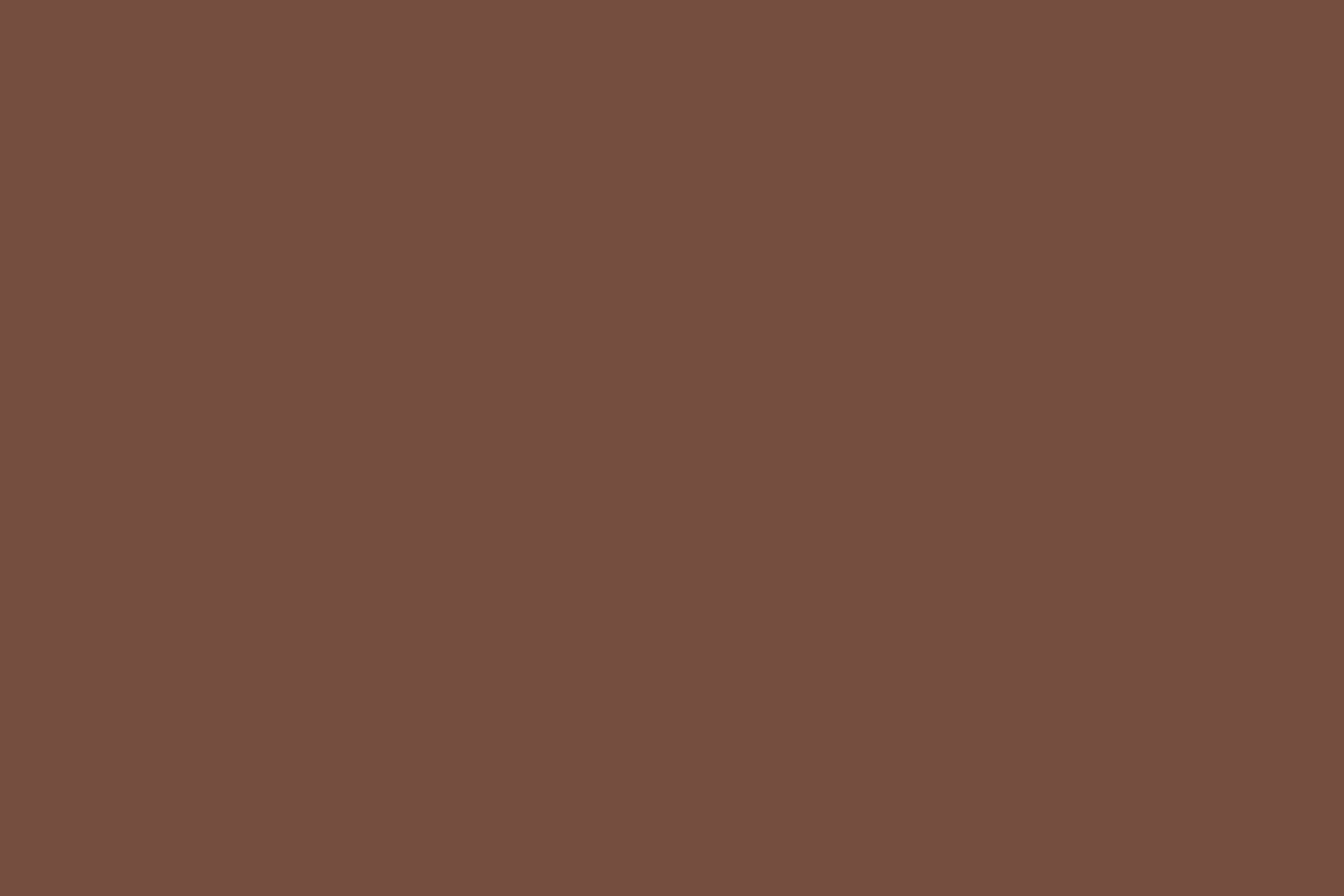 Solid Color Backdrops Deep Terracotta Brown Backdrop UK CSH4-164