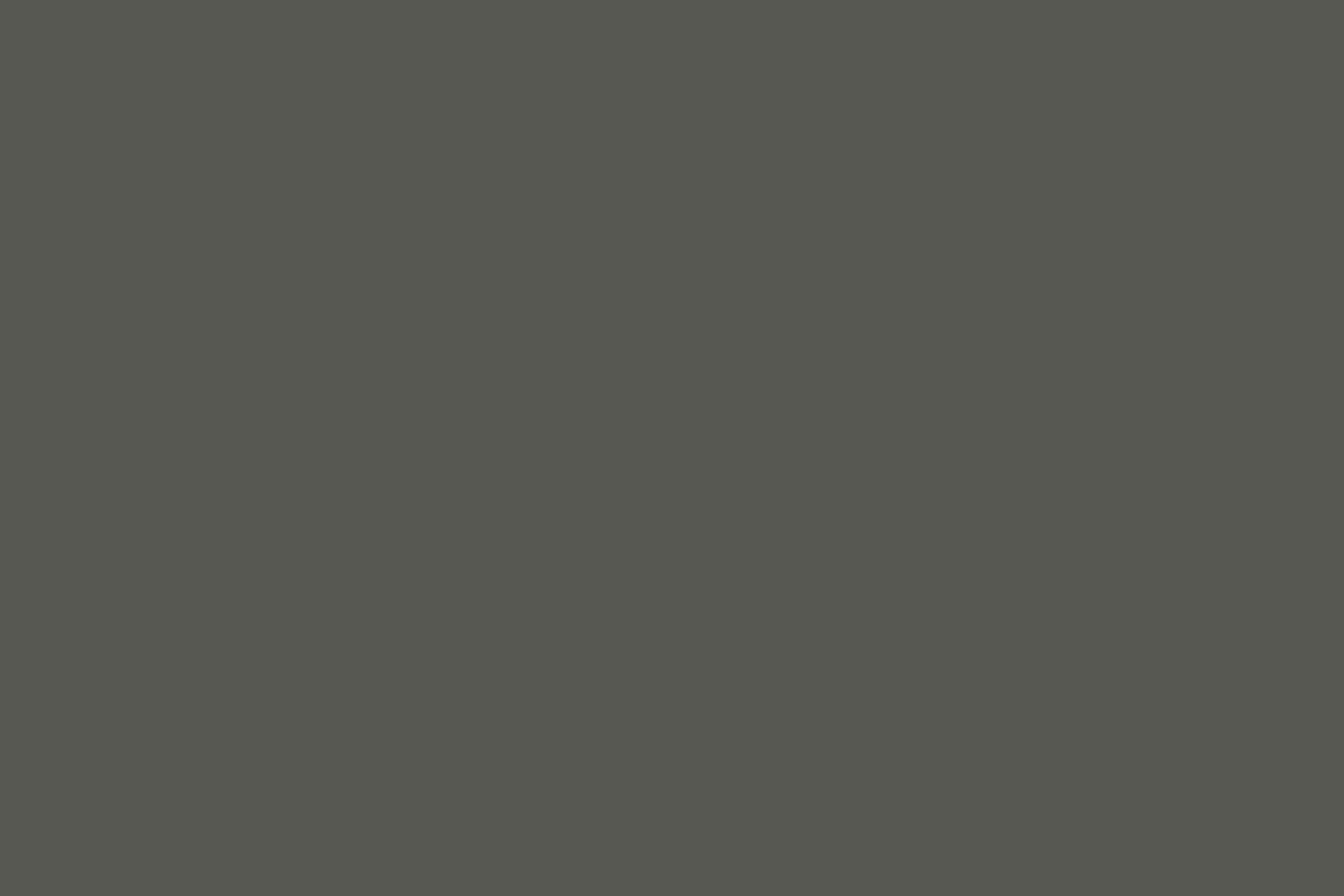 Backdrop Solid Color Dark Pinewood Ink Backdrop UK CSH4-169