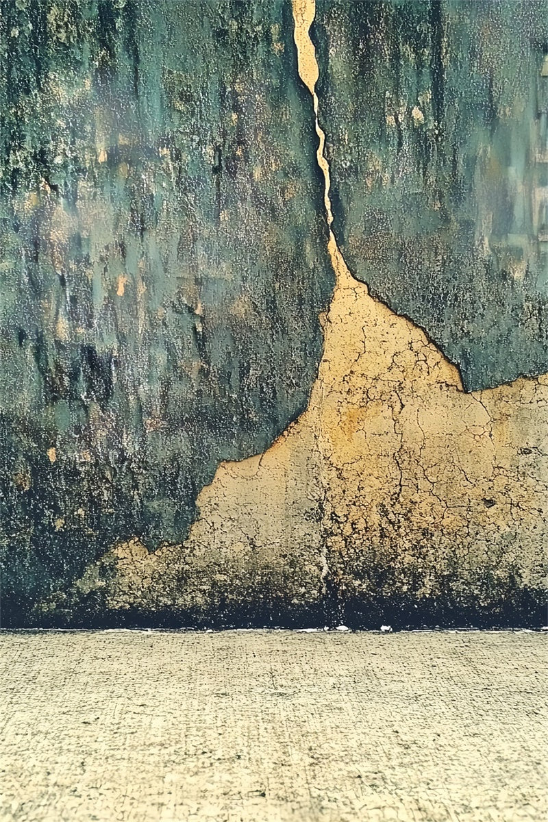 Portrait Backdrops Distressed Cracked Texture Wall Backdrop UK CSH4-190