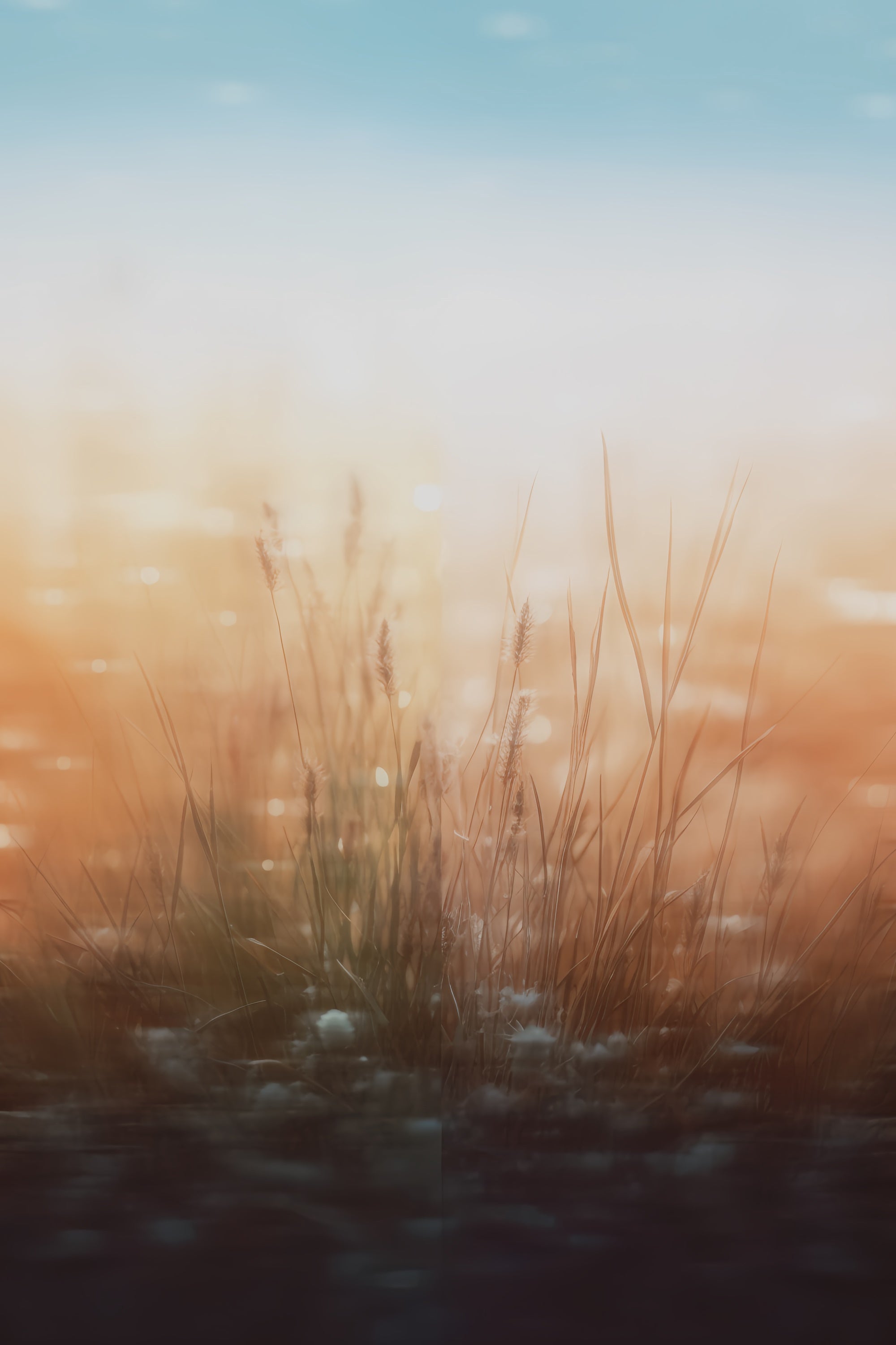 Portrait Photography Backdrops Soft Meadow Breeze Backdrop UK CSH4-202