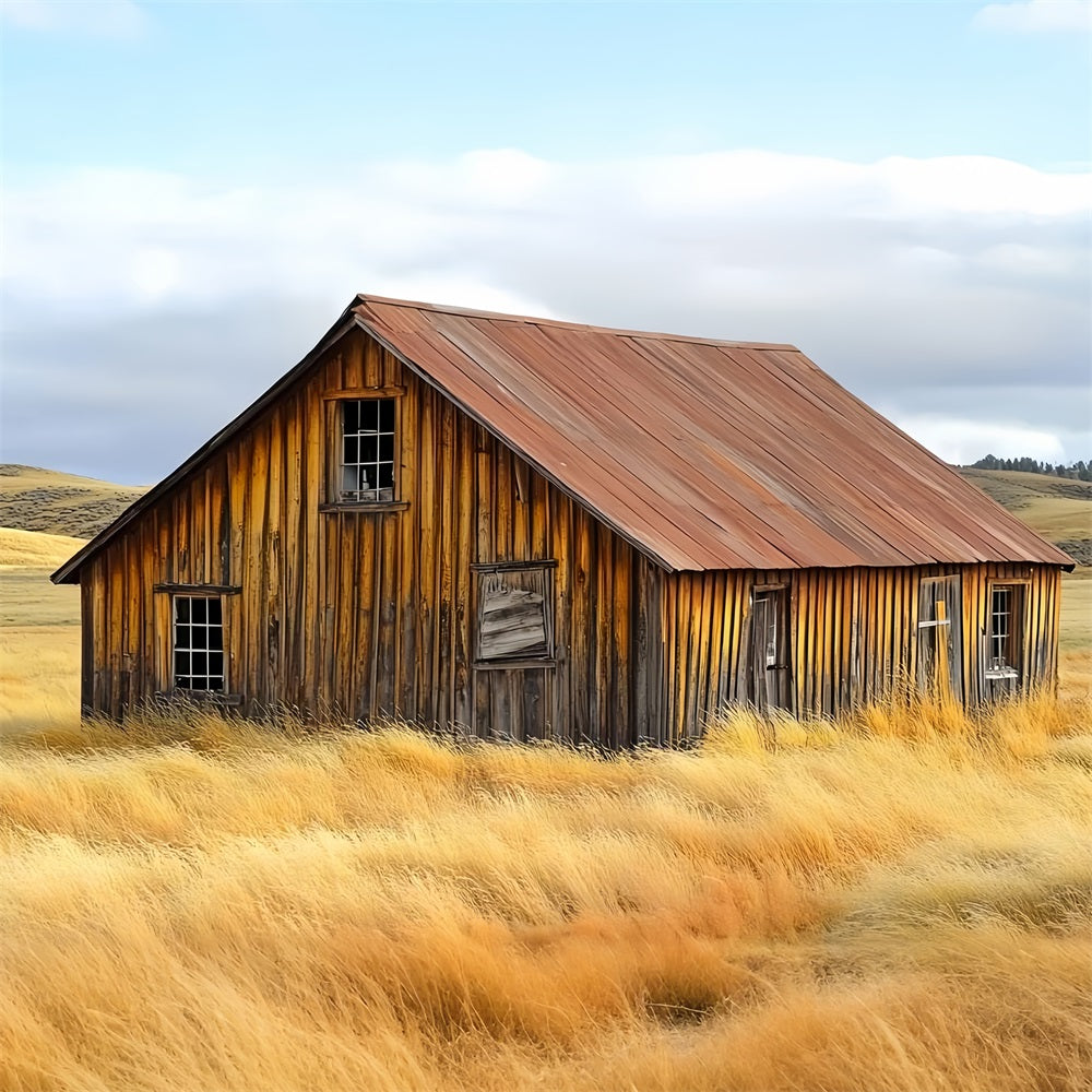 Barn Backdrops Weathered Farmhouse Rustic Landscape Backdrop UK CSH4-209