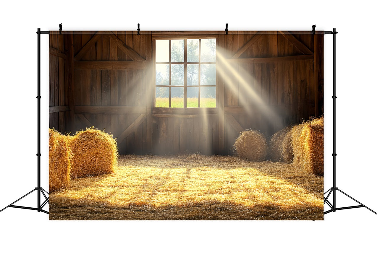 Barn Photo Backdrop Sunlight Window Straw Bales Backdrop UK CSH4-211