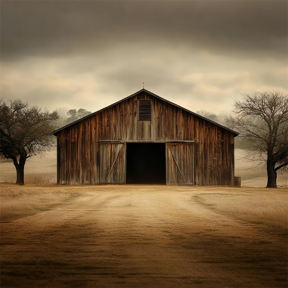 Barnyard Backdrop Old Farm Cloudy Skies Backdrop UK CSH4-219