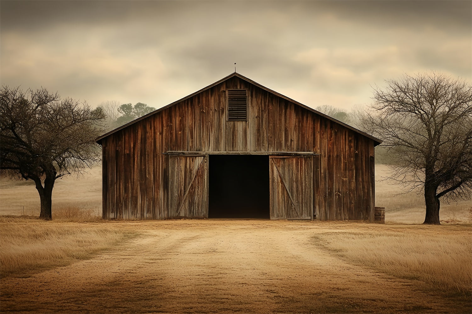 Barnyard Backdrop Old Farm Cloudy Skies Backdrop UK CSH4-219