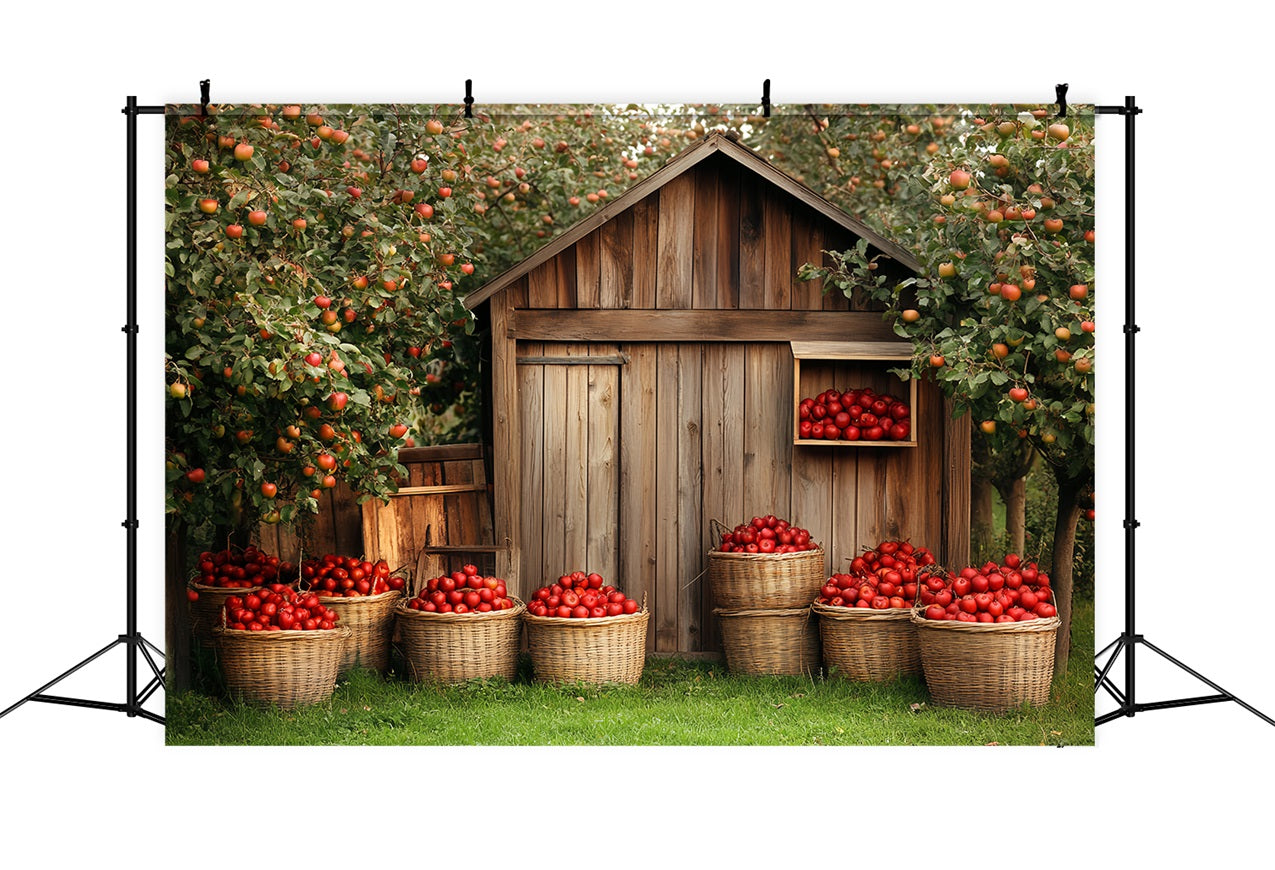 Wooden Barn Backdrop Wooden Apple Harvest Backdrop UK CSH4-225