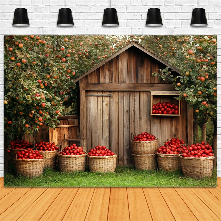 Wooden Barn Backdrop Wooden Apple Harvest Backdrop UK CSH4-225