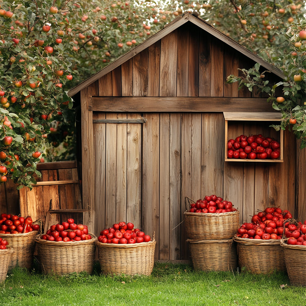 Wooden Barn Backdrop Wooden Apple Harvest Backdrop UK CSH4-225