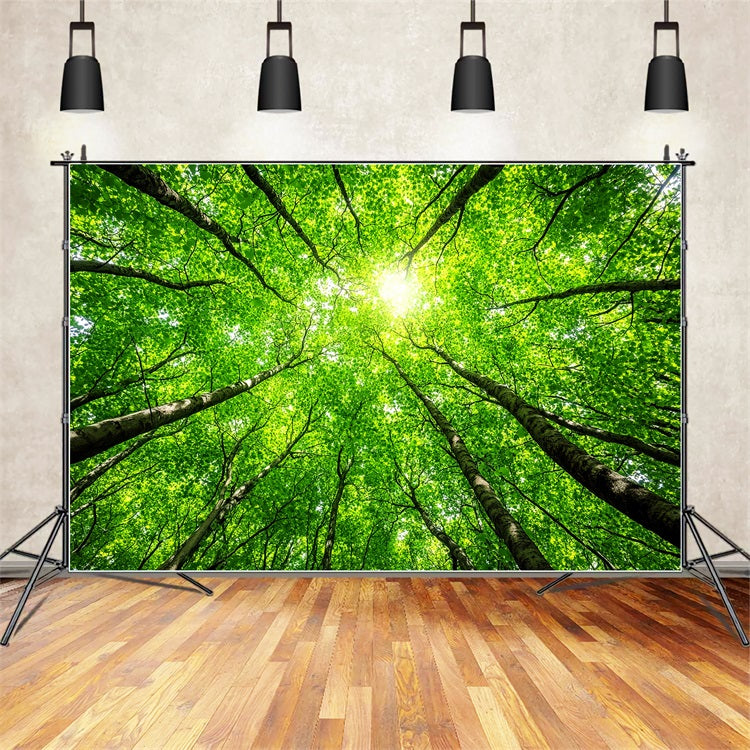 Photography Backdrops Forest Lush Tree Tops Sky Backdrop UK CSH4-90