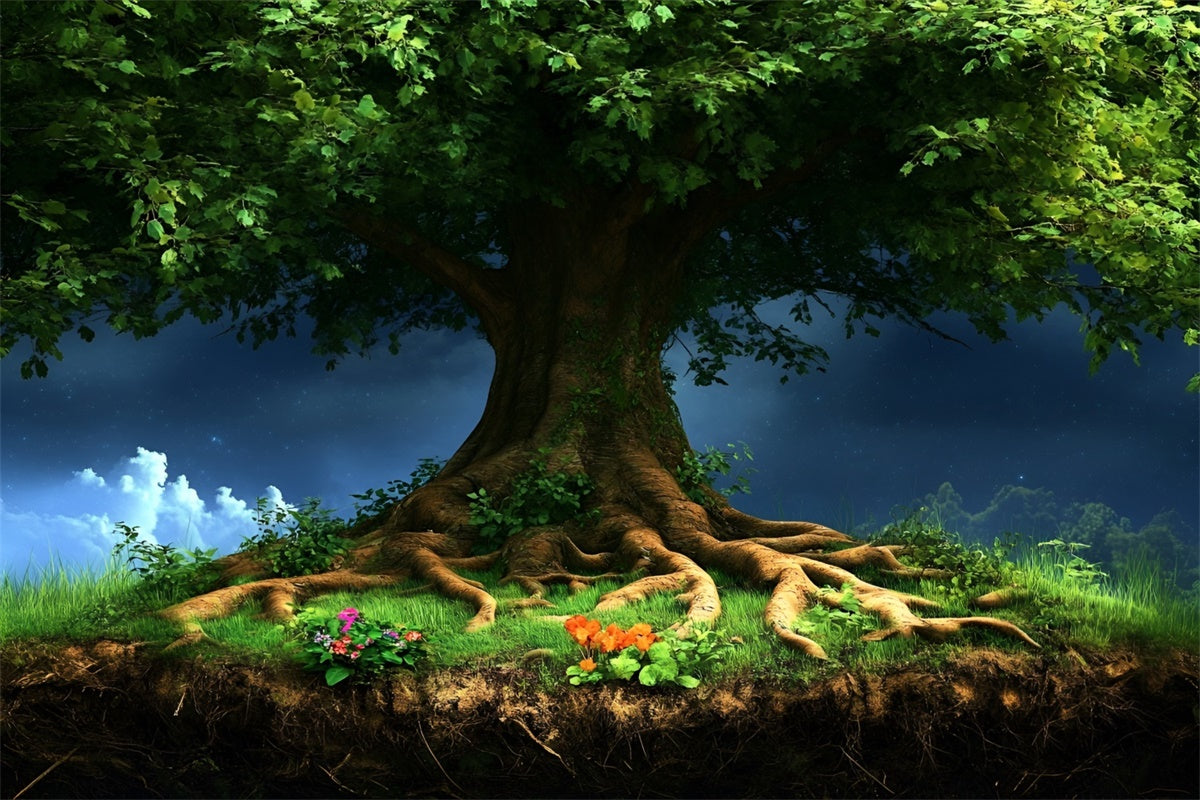 Forest Photo Backdrop Majestic Tree Canopy Fantasy Backdrop UK CSH4-96