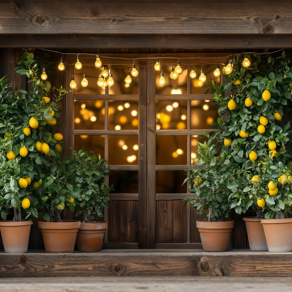 Lemon Backdrop Lemon Tree Lights Summer Backdrop UK CSH5-123