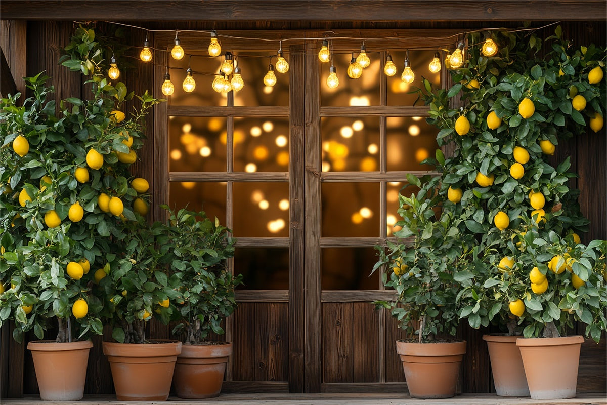 Lemon Backdrop Lemon Tree Lights Summer Backdrop UK CSH5-123