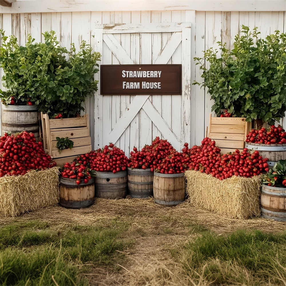 Strawberry Backdrop Rustic Strawberry Farmhouse Backdrop UK CSH5-128