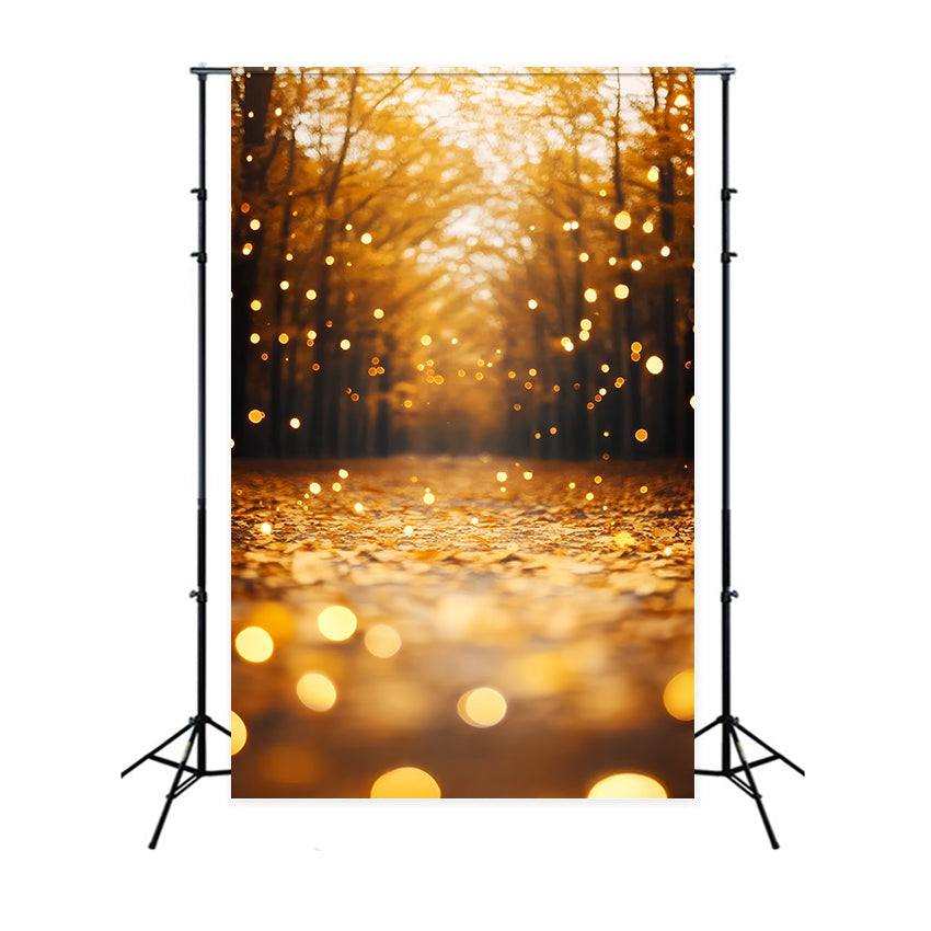 Fall Forest Backdrop Leaves Radiance Path Backdrop UK CSH57-181