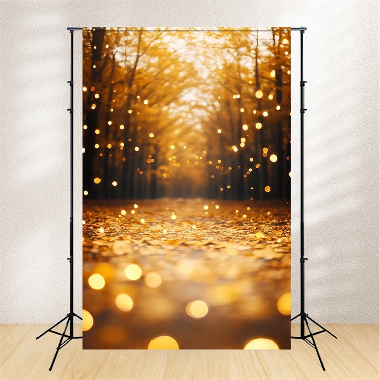 Fall Forest Backdrop Leaves Radiance Path Backdrop UK CSH57-181