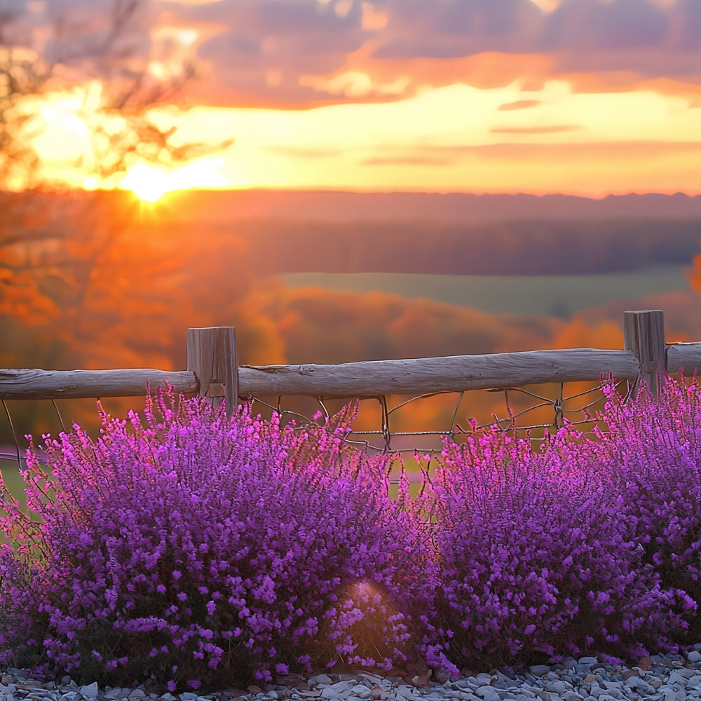 Sunset Backdrop Violet Bloom Horizon Autumn Backdrop UK CSH57-200