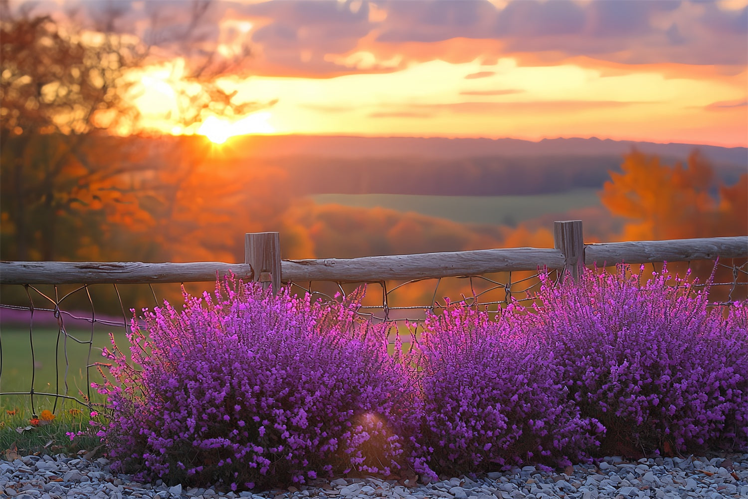 Sunset Backdrop Violet Bloom Horizon Autumn Backdrop UK CSH57-200