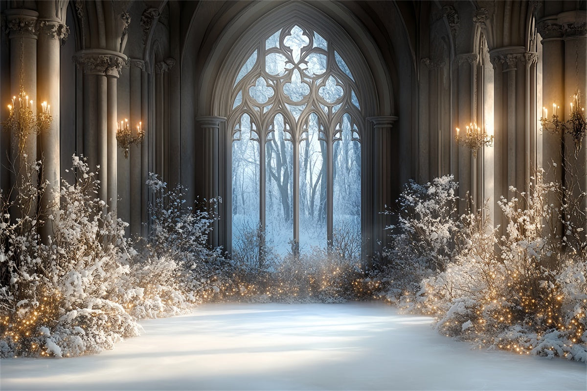 Winter Backdrop Photography Snowlit Gothic Hall Backdrop UK CSH57-206