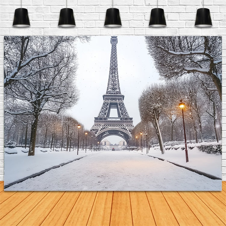 Winter Scene Backdrop Winter Eiffel Elegance Backdrop UK CSH57-230