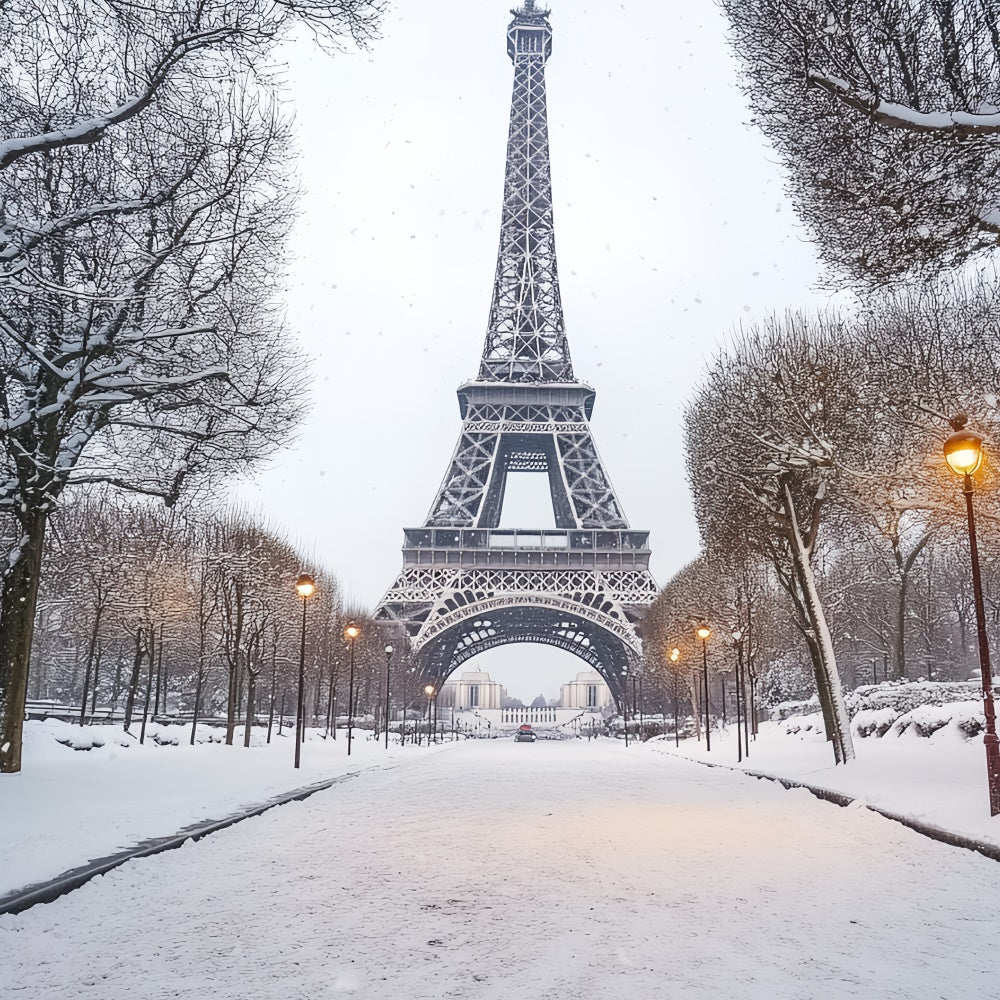 Winter Scene Backdrop Winter Eiffel Elegance Backdrop UK CSH57-230