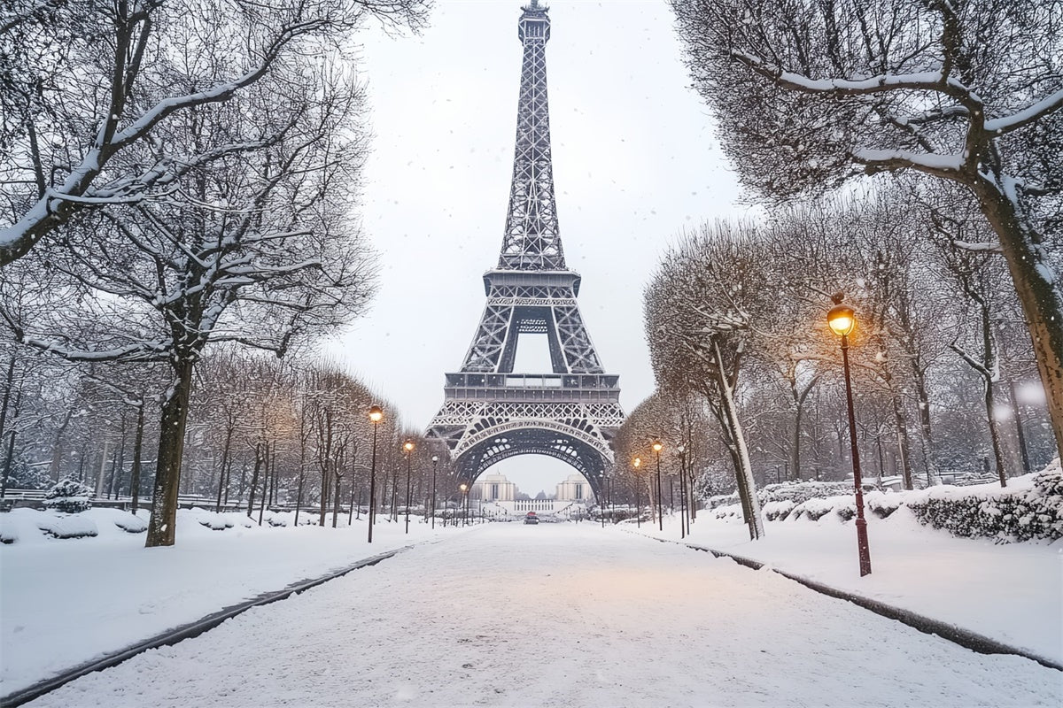 Winter Scene Backdrop Winter Eiffel Elegance Backdrop UK CSH57-230