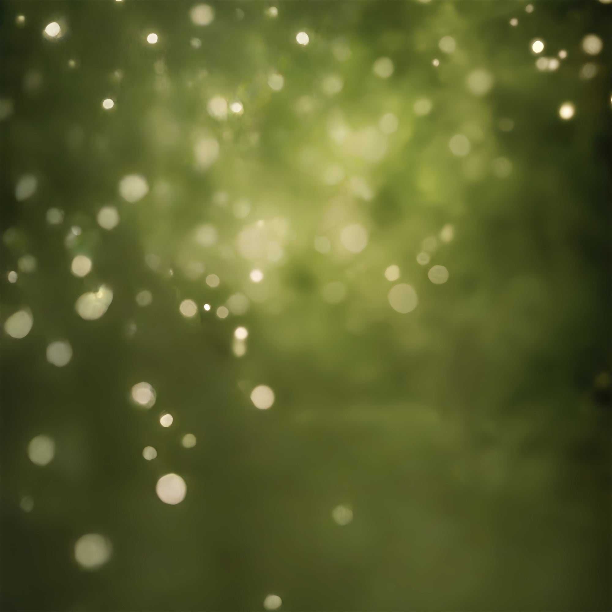 Olive Green Backdrop Forest Haze Bokeh Backdrop UK CSH57-30