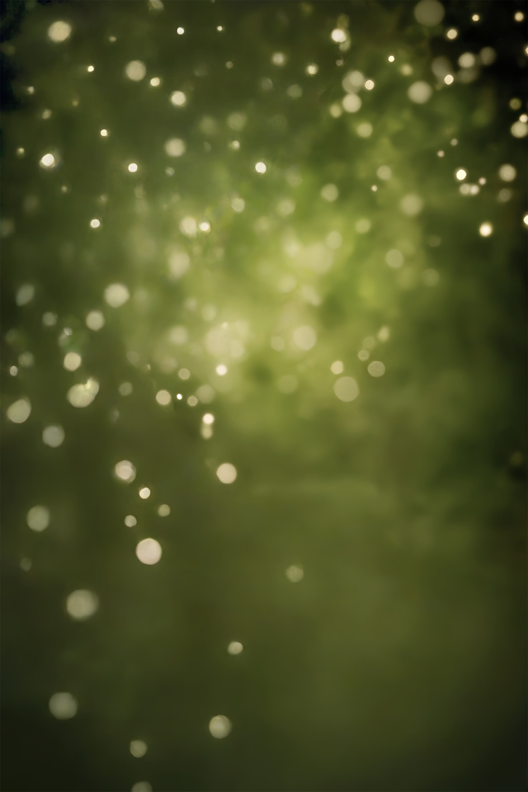 Olive Green Backdrop Forest Haze Bokeh Backdrop UK CSH57-30