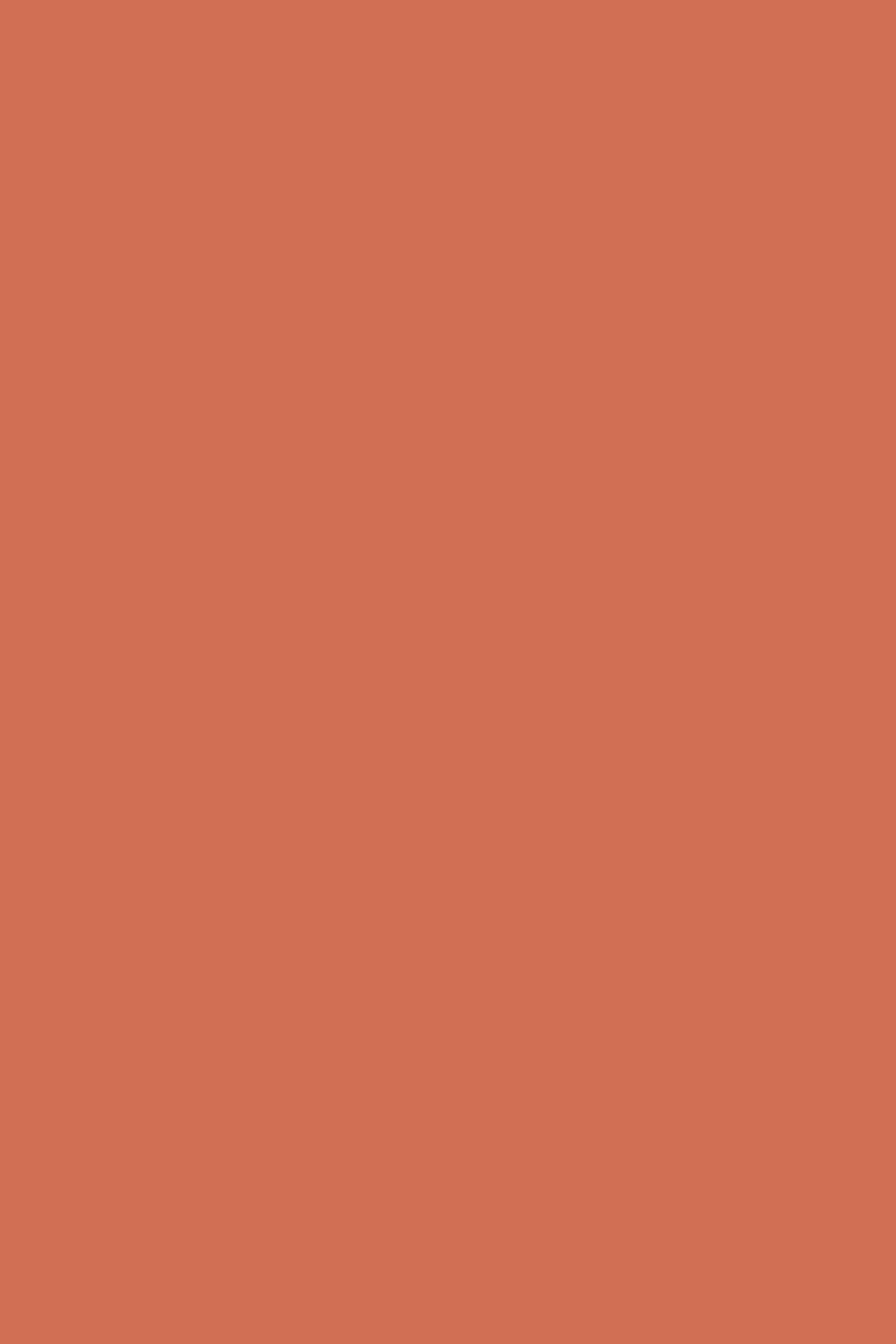 Orange Backdrop Photoshoot Warm Terracotta Dream Backdrop UK CSH57-312