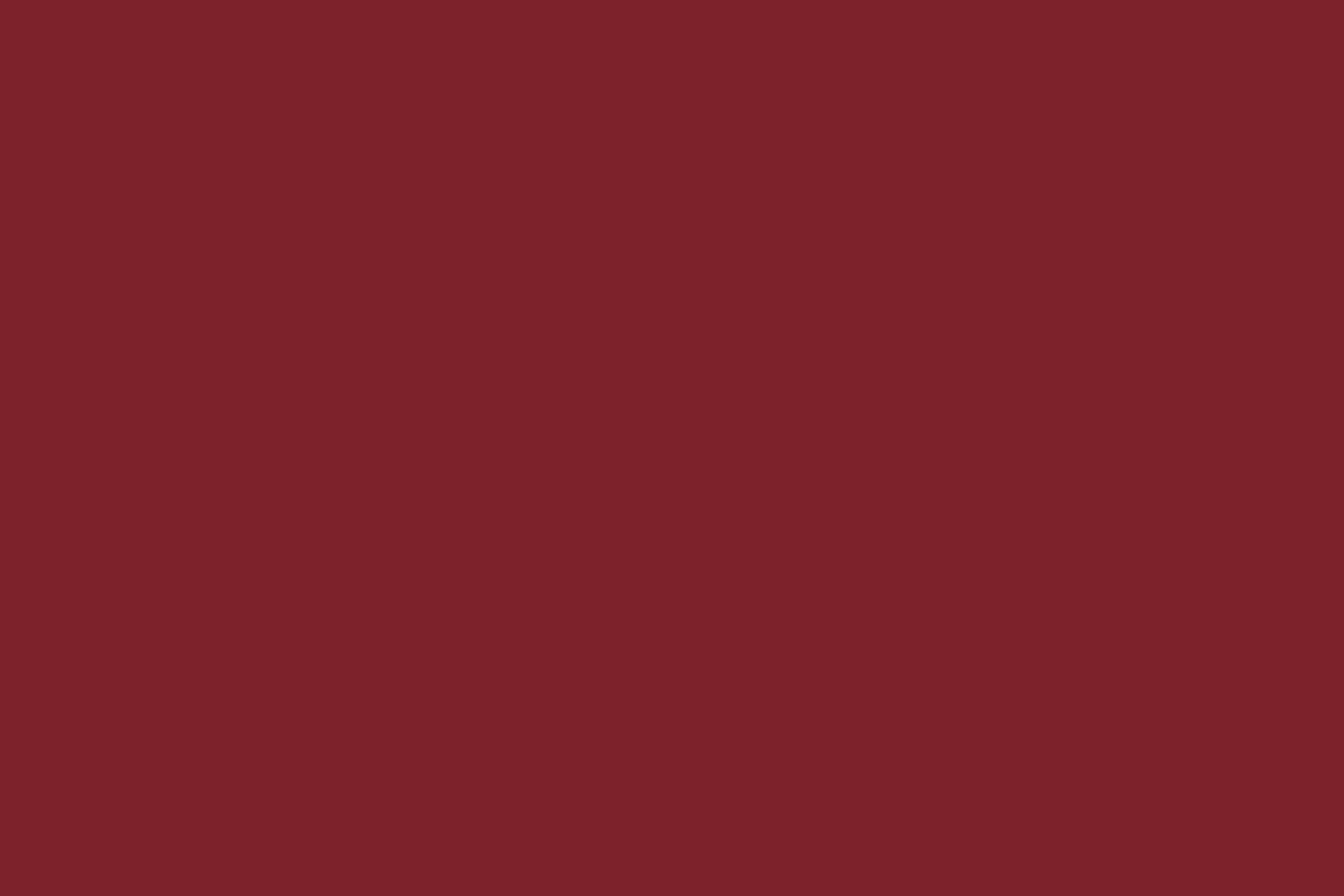 Red Photo Backdrop Wine Velvet Veil Backdrop UK CSH57-336