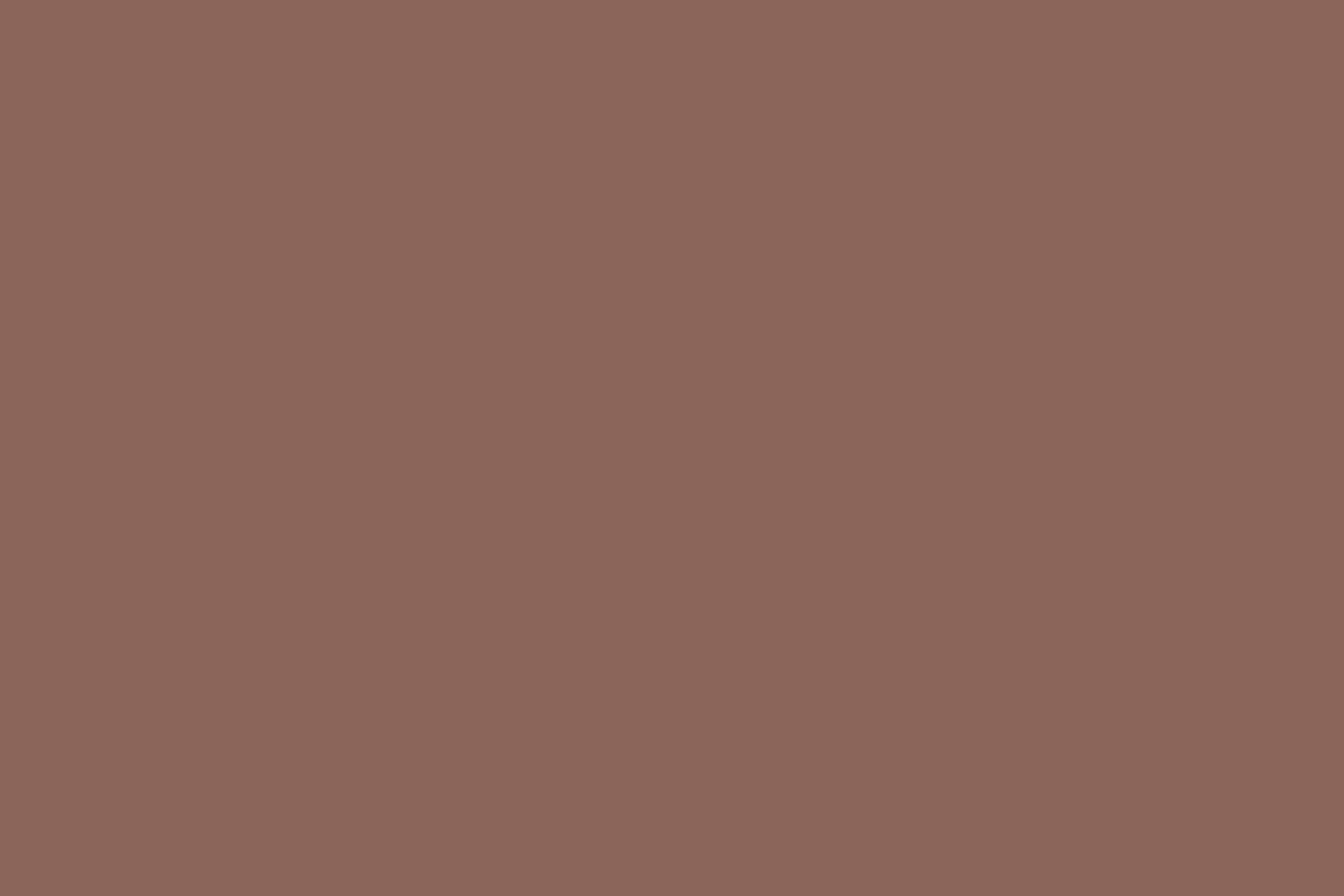 Solid Color Backdrop Dark Mocha Rose Backdrop UK CSH57-339