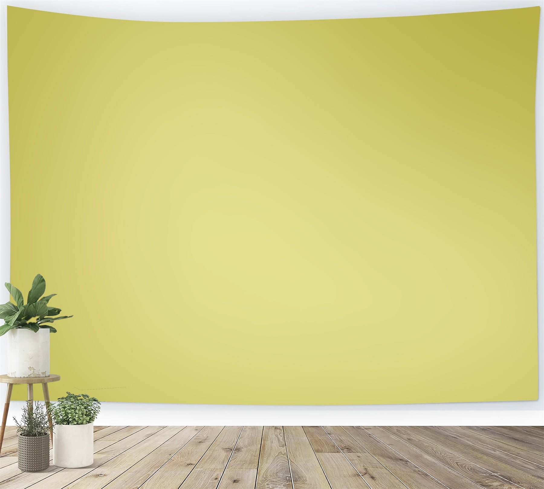 Green Photo Backdrop Lemon Haze Studio Backdrop UK CSH57-37