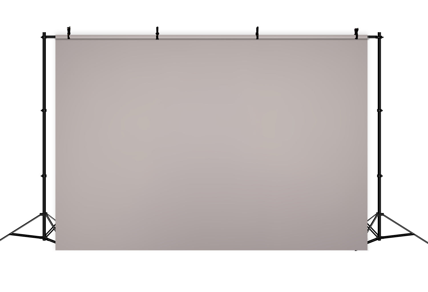 Backdrop For Professional Headshot Gentle Pink Ash Backdrop UK CSH57-39