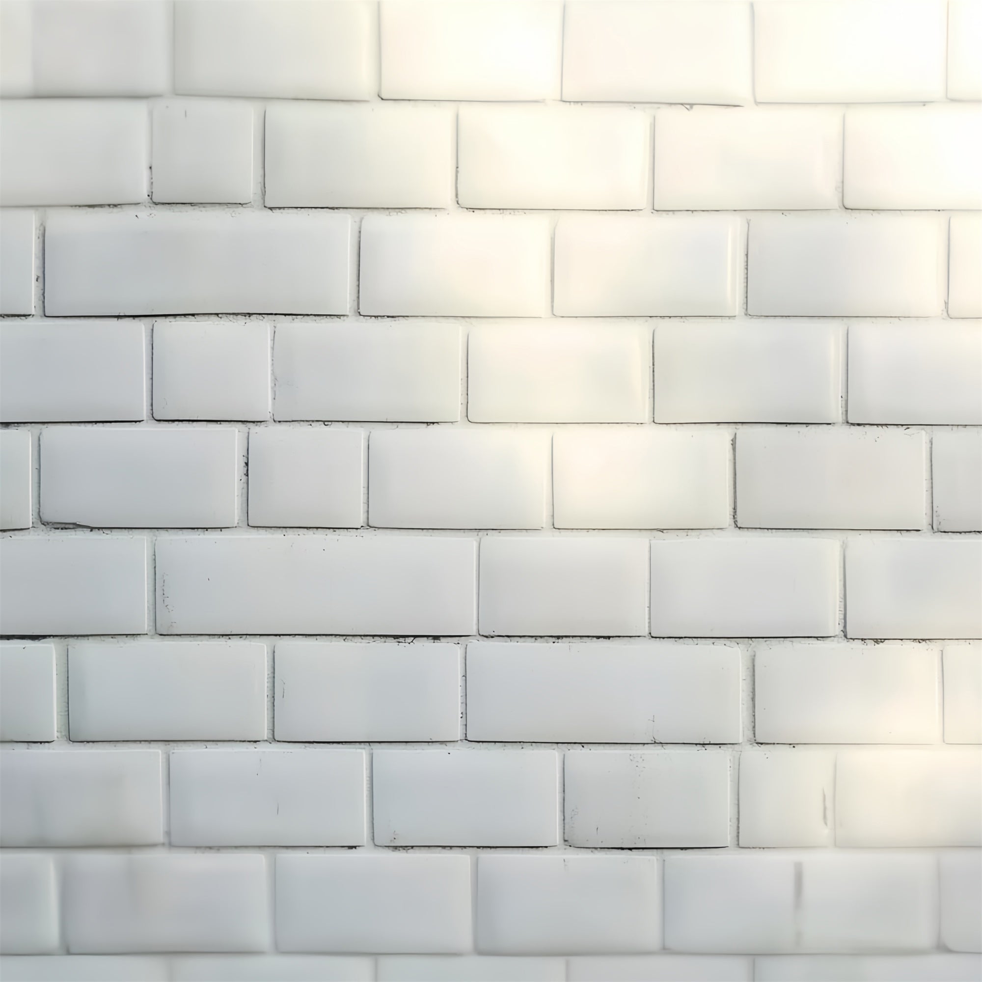 White Brick Backdrop Minimalist Matte Brick Headshot Backdrop UK CSH57-6