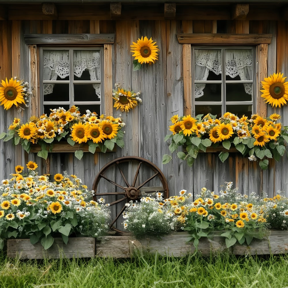 Sunflower Backdrop Rustic Cottage Window Bloom Thanksgiving Backdrop UK CSH58-128