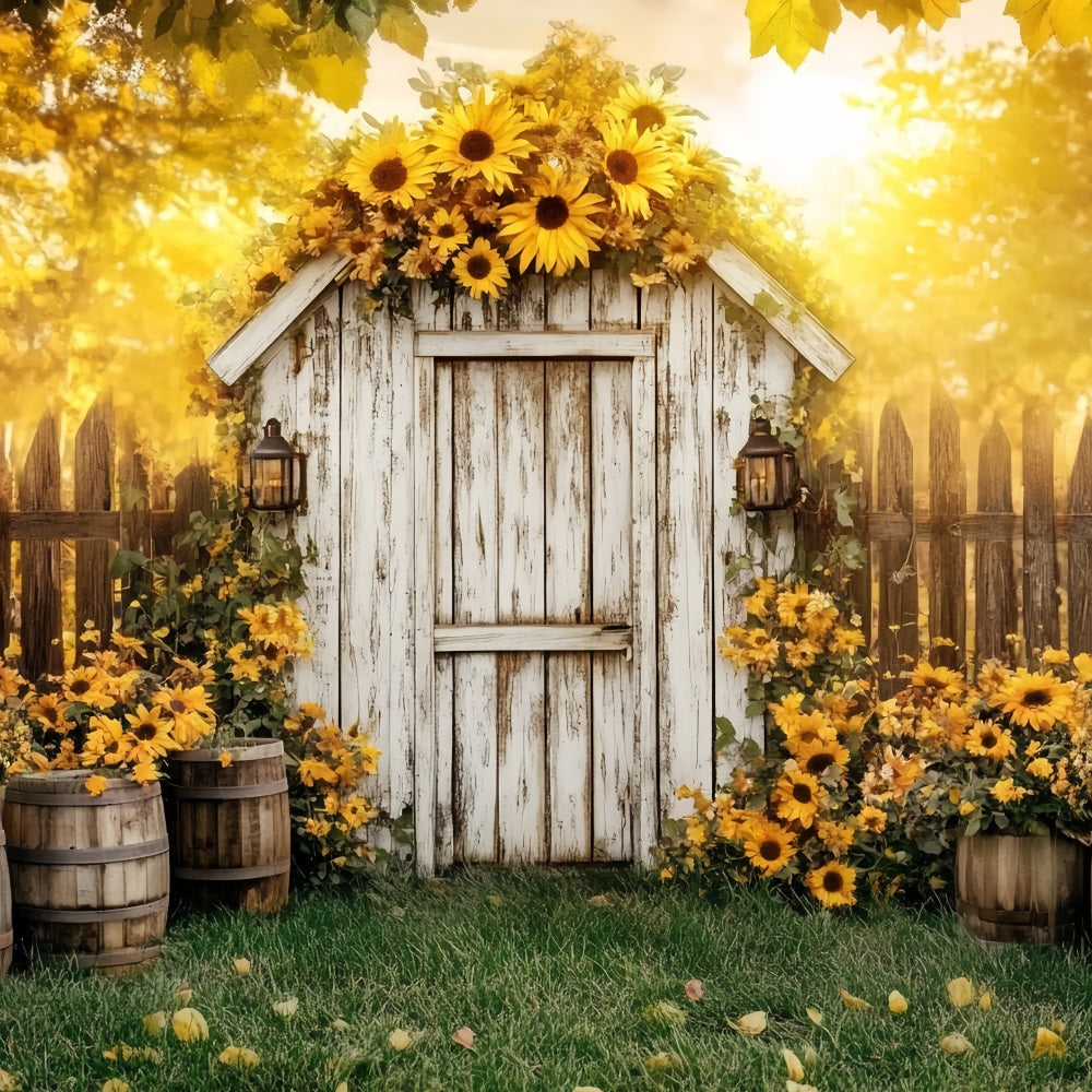 Rustic Backdrop Rustic Shed Sunflower Barrels Backdrop For Thanksgiving UK CSH58-141