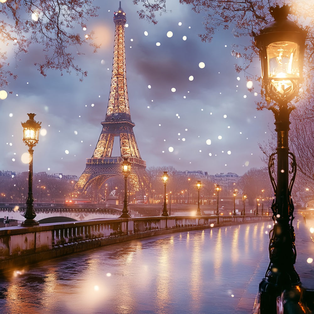 Eiffel Tower Backdrop Champs Elysées Bridge After Dreamy Rain Night Paris Backdrop Ideas UK CSH58-15