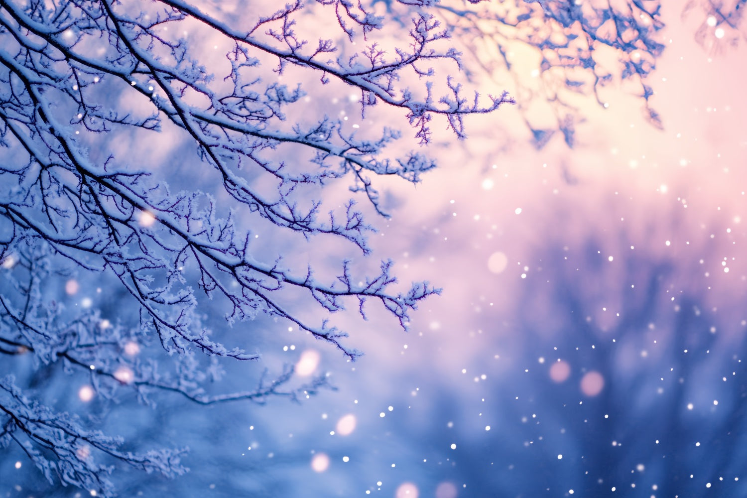 Snowflake Backdrop Frosted Branches in Twilight Glow Winter Photo Backdrop UK CSH58-21