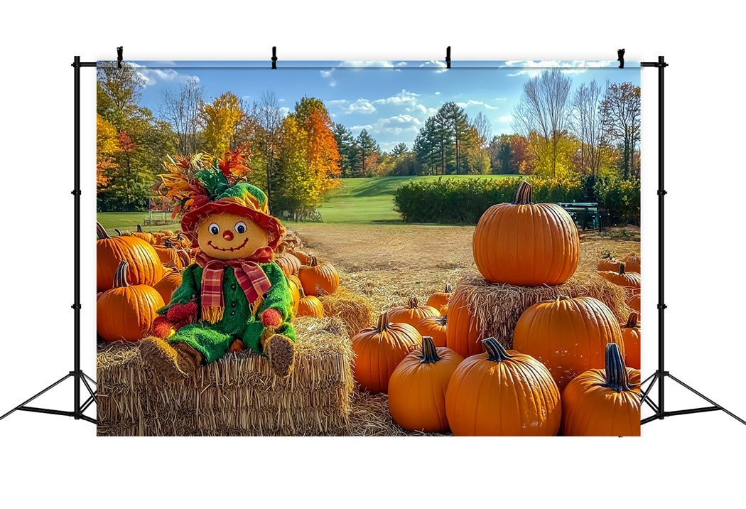 Fall Rustic Backdrop Scarecrow Pumpkin Patch Field Autumn Backdrop UK CSH58-225