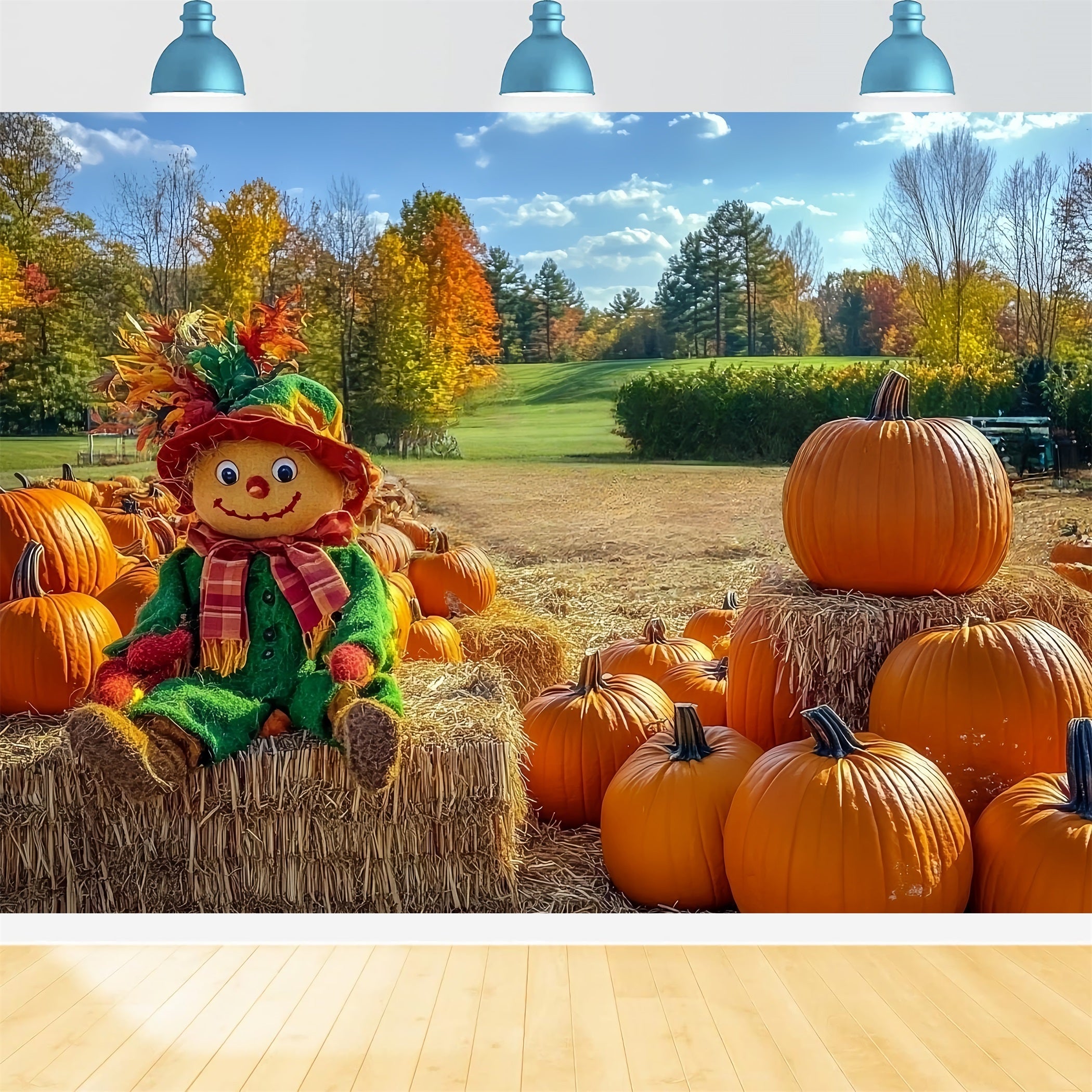 Fall Rustic Backdrop Scarecrow Pumpkin Patch Field Autumn Backdrop UK CSH58-225