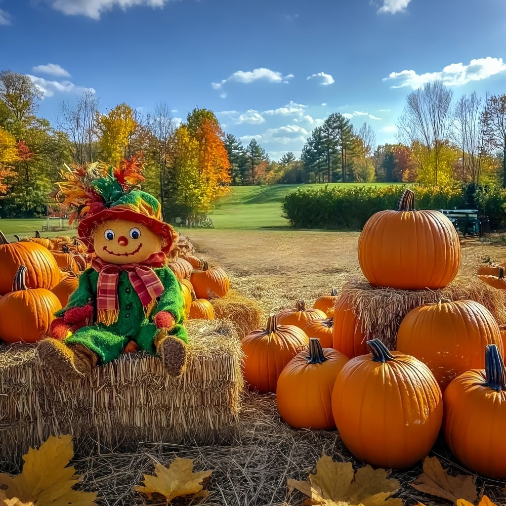 Fall Rustic Backdrop Scarecrow Pumpkin Patch Field Autumn Backdrop UK CSH58-225