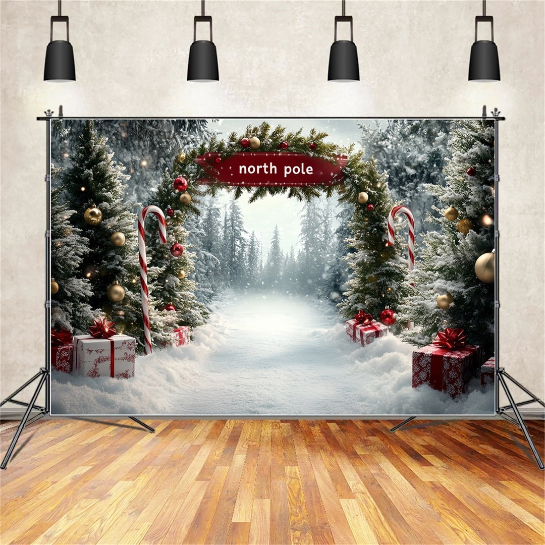 North Pole Backdrop North Pole Candy Cane Gift Pathway Winter Christmas Backdrop UK CSH58-36
